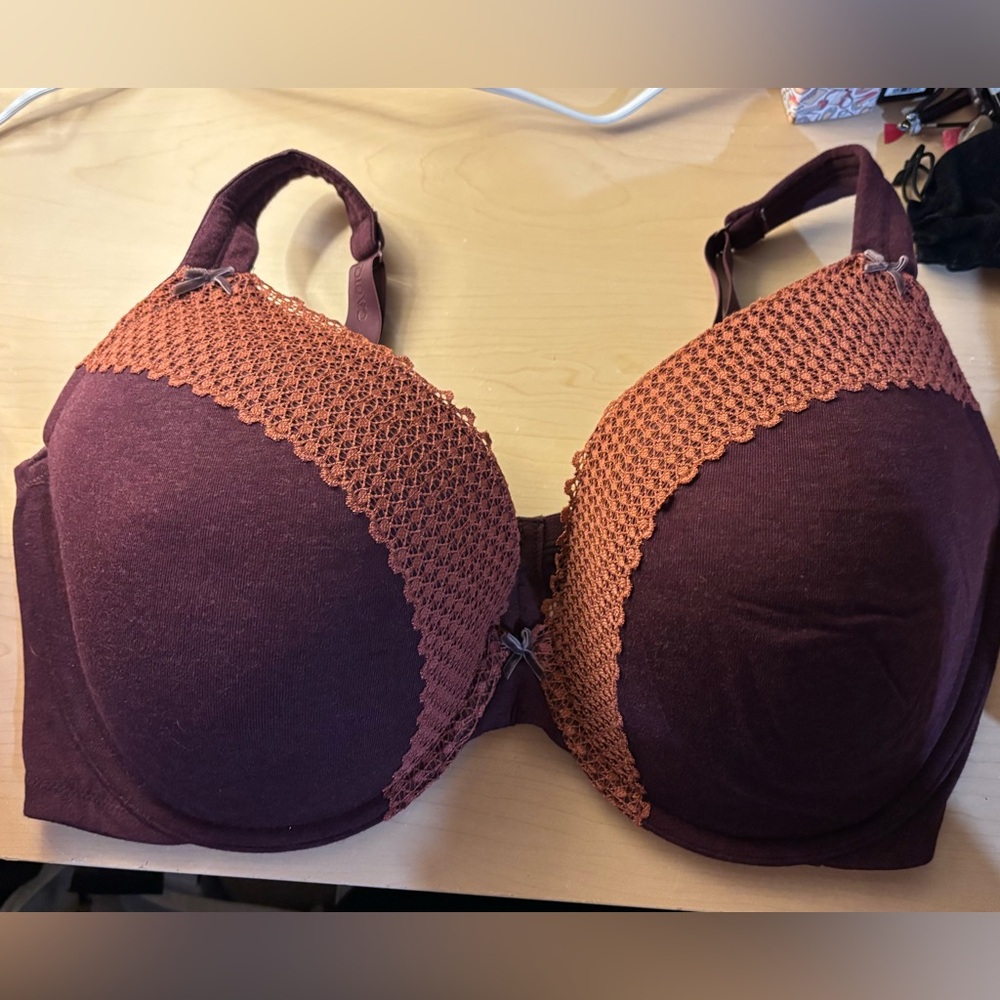 Cacique 44F Plunge Maroon Colored Bra NWOT